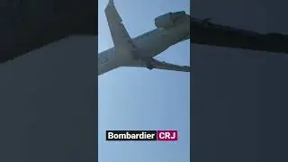 Bombardier CRJ200 Landing Toronto Pearson!