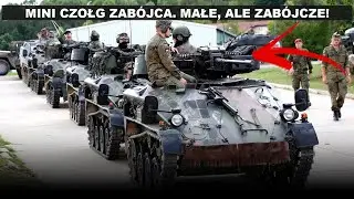 Co potrafi Wiesel Bundeswehry