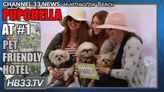 Dog Festival Pupchella at Pasea Hotel and Spa | Huntington Beach News