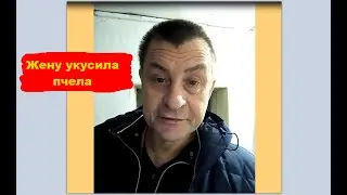 Анекдот жену в лоб укусила большая пчела