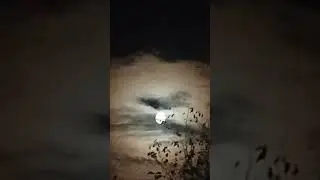 красота 😍💓