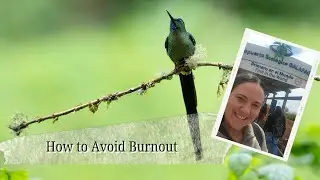 How to Avoid Burnout