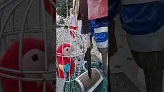 ВСТРЕТИЛИ РУССКОГО ПОПУГАЯ В ГЕРМАНИИ 😁#shorts