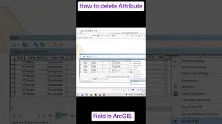 Delete Attribute field in ArcGIS 