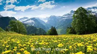Fresh Start - Alesco