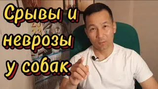 10. СРЫВЫ и НЕВРОЗЫ у собак. Нарушение условно-рефлекторной деятельности. Патология ВНД.