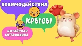 Все взаимодействия земной ветви Крыса с другими зверьками в карте бацзы. Столкновения, вред, пробой