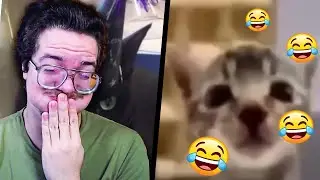 Meu Desafio TENTE NÃO RIR | 6