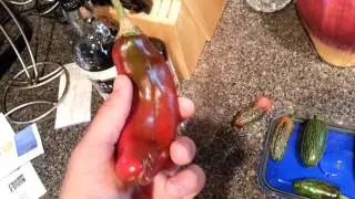my 2 favorites: Jalapeno and Cowhorn peppers