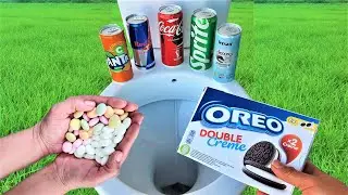 Experiment OREO DOUBLE Coca Cola Fanta Sprite Redbul Detox Breakfast And Mentos