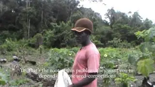 Rastafari and Organic Agriculture in Suriname