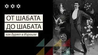 От шабата до шабата...