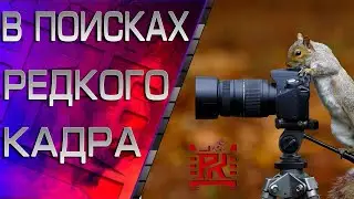 Пробития на Арте WOT