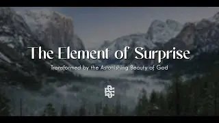Carolyn Weber: "The Element of Surprise"