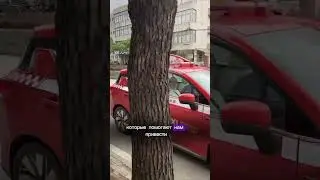 Как заказывать товары из Китая через Карго? #карго #товарка #маркетплейсы