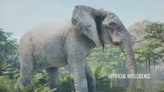 Theory of Evolution