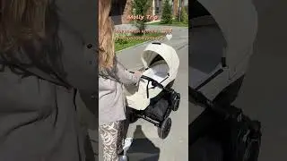 Коляска для новорожденных Molly Trio 🤍