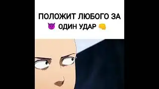 Сайтама против Мухи
