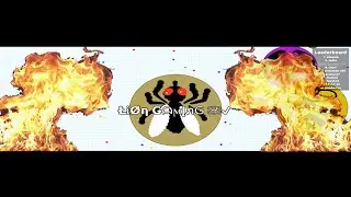 Lion Gaming | Agar.io Gaming