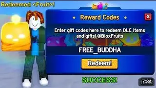 *NEW CODES* ALL NEW WORKING CODES IN BLOX FRUITS MAY 2024! BLOX FRUITS CODES 