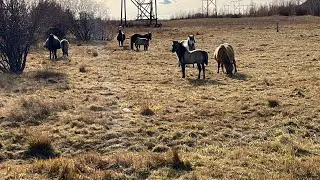 Поход выходного дня. Якутия. Невероятные виды❤️