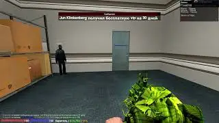 самопис