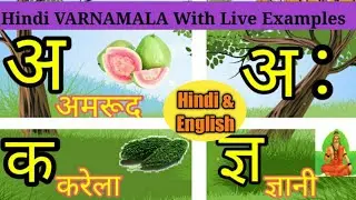 Learn Hindi Varnamala with Live Examples and pictures / Hindi Alphabets and words/Hindi letters.