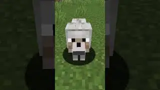 ¿POR QUE LOS LOBOS ODIAN A LAS OVEJAS? 