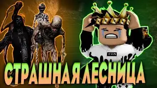 Прохождение бесконечной лесницы в роблокс