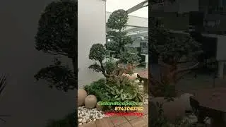 Terrarium