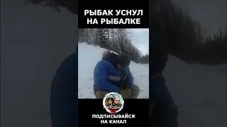 Рыбак уснул на рыбалке! 