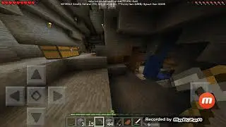 Sobrevivendo na floresta e na caverna