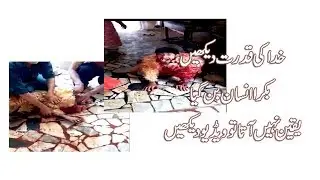 Eid Par Bakra Insan Ban Gya, Insan ki Qurbani, Qurbani Video, Qurbani Ka Insan