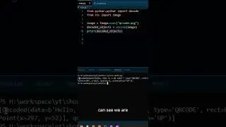 Read QR Code with Python!