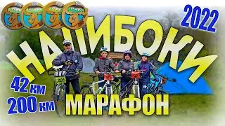 Налибоки 2022. Кросс-кантри ультрамарафон 200км. и семейный полумарафон 42км. Туристы-Авантюристы