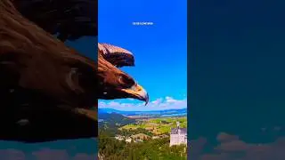 EAGLE'S LIFE🔥| ft.EAGLE 