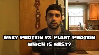 Whey Protein vs Plant Protein - Which is Best!
