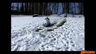 Приколы  Смешные телки