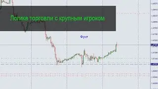 Логика торговли с крупным игроком
