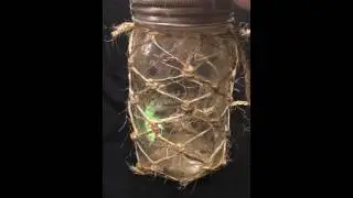 Hoggle's Captured Fairy Jar #1