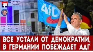 Все уже устали от "Демократии", в Германии побеждает АДГ | Джимми Дор