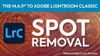 ART 147 Online Class 9   LrC3   Spot Removal