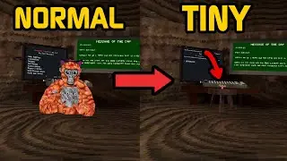 Gorilla Tag VR, But I'm TINY!? 
