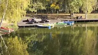 Дождь осенний. Сергей Пенкин.