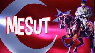 NEW İNTRO