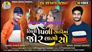 Lili Pili Sadi Ma Jor Lago So||Pankaj Nayta||Jignesh Sisodiya||New Ladudi Reamix Dj Song 2021