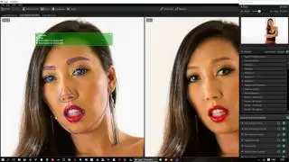 Portrait Pro crash