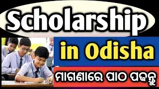scholarships 2024, scholarship, scholarship for ug, scholarship for plus two, odisha scholarship