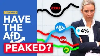 Why Germany’s AfD is in Decline