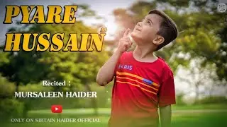 PYARE HUSSAIN a.s | MURSALEEN HAIDER | 3 SHABAN IMAM HUSSAIN | NEW POEM 2024